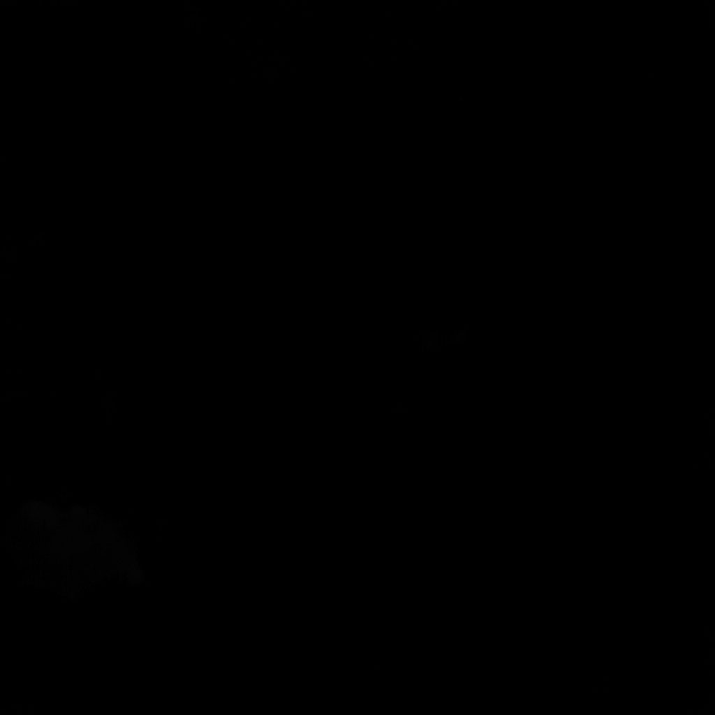 A low-key image of a printed programme sheet resting on a dark surface, with subtle cream paper texture and deep shadow.