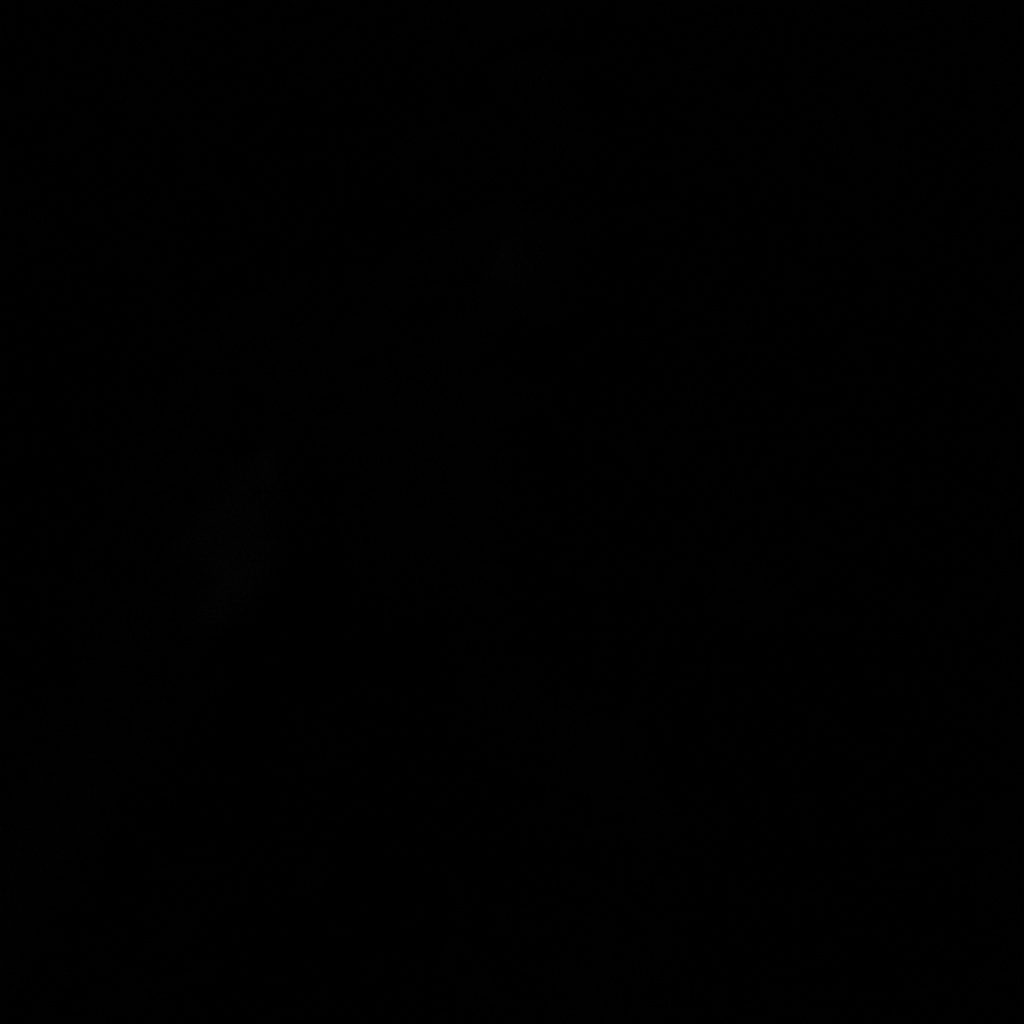 A dark, atmospheric photograph of a conference auditorium with rows of seats fading into deep shadow, lit only by a warm spotlight on stage.